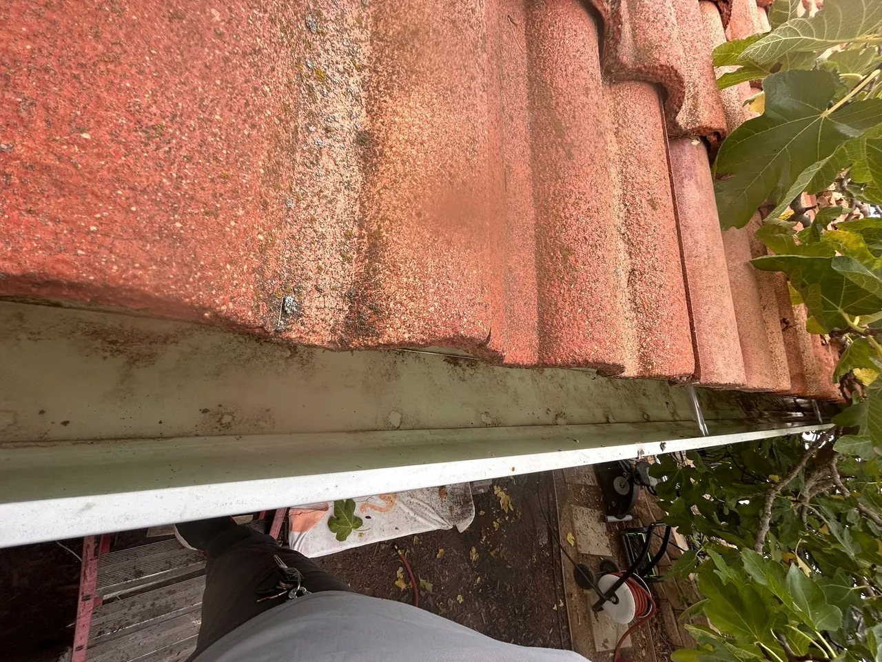 janitorial services - gutter cleaning