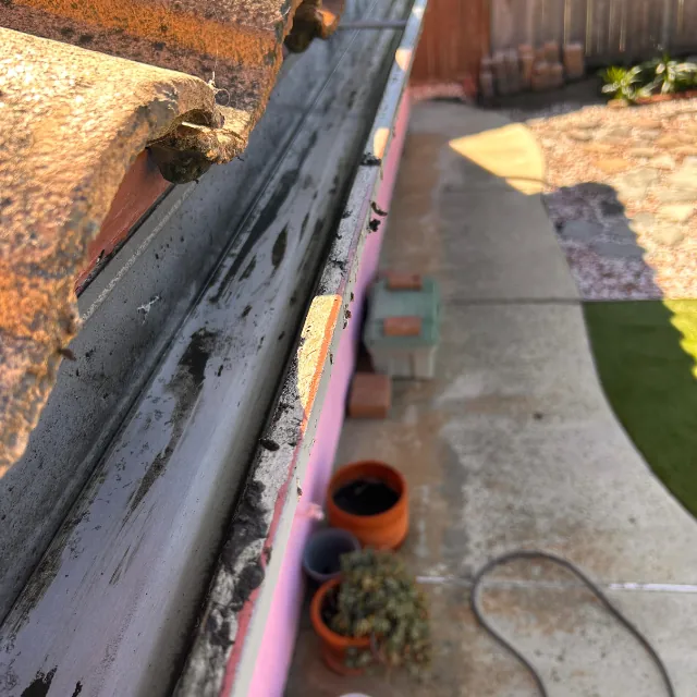 Janitoral Services - Gutter cleaning