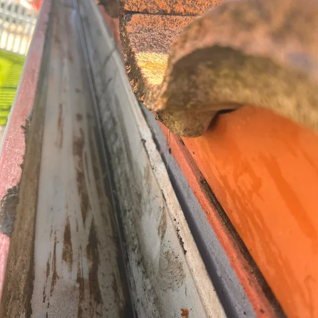 Janitoral Services - Gutter cleaning