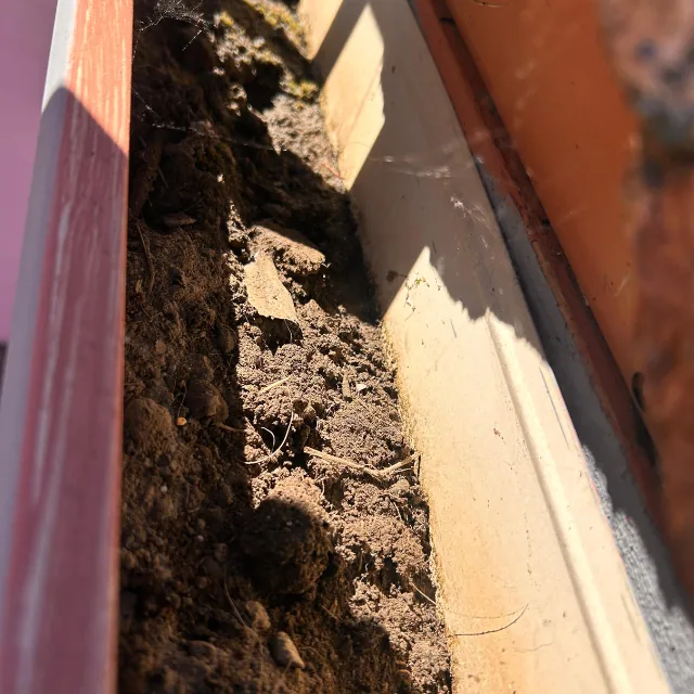 Janitoral Services - Gutter cleaning