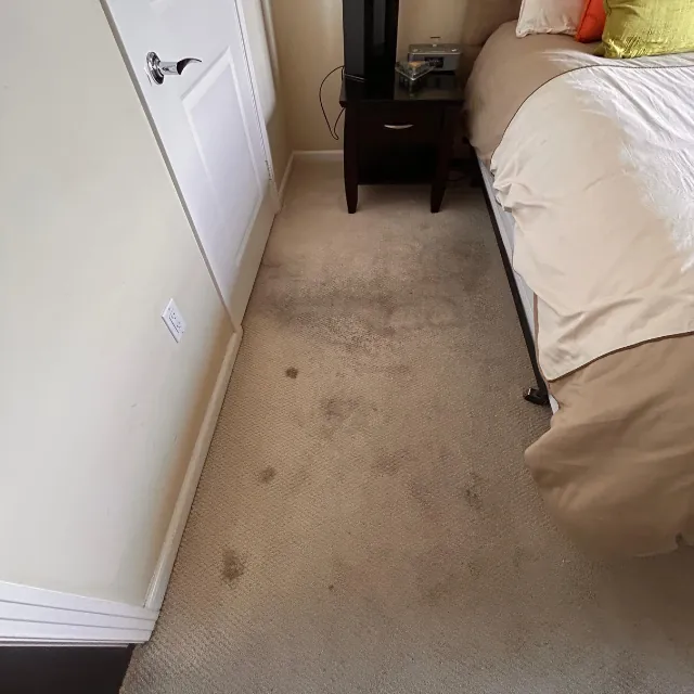 Janitoral Services - House Cleaning