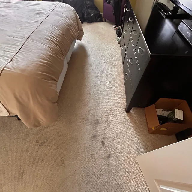 Janitoral Services - House Cleaning