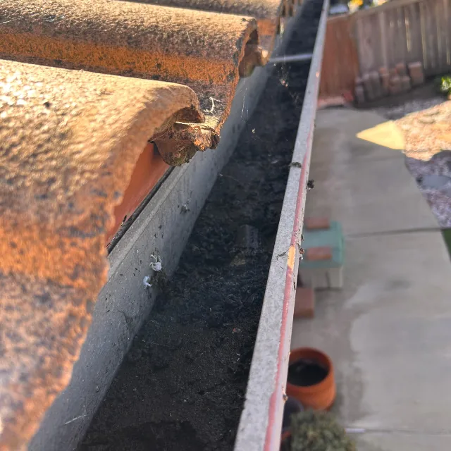 Janitoral Services - Gutter cleaning