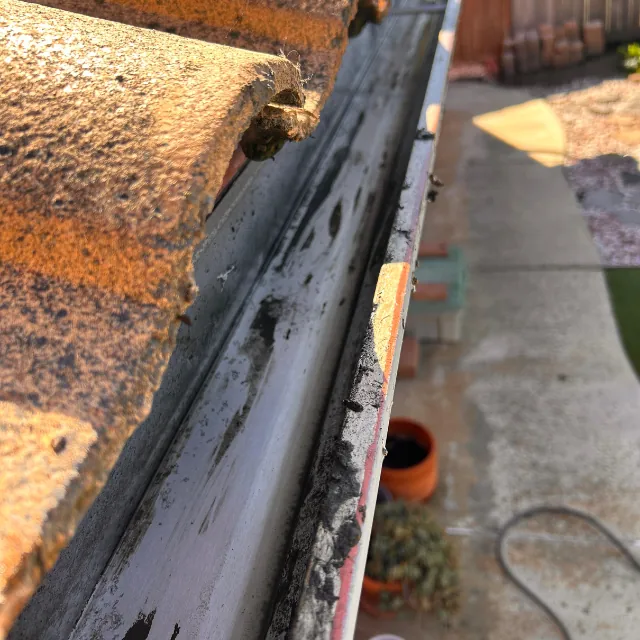Janitoral Services - Gutter cleaning