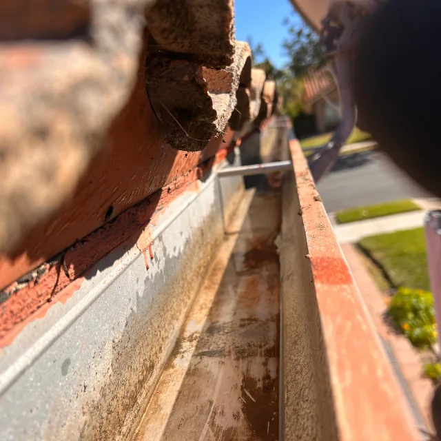 Janitoral Services - Gutter cleaning