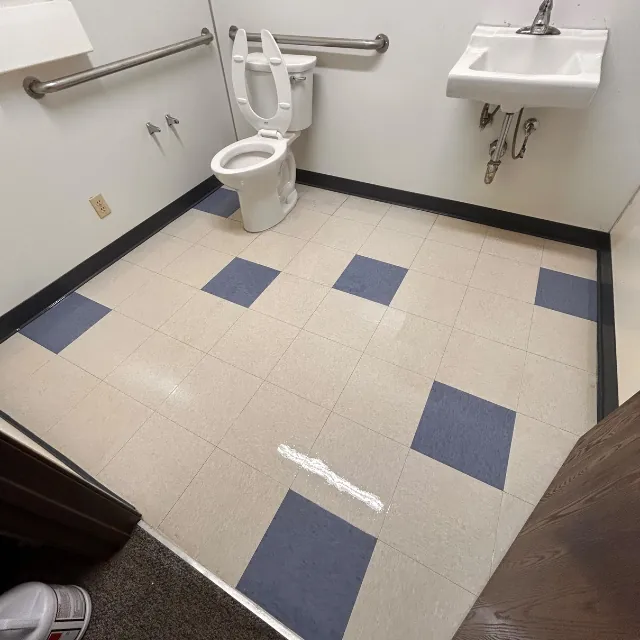 Bathroom Cleaning | Toilet Fully Washed Disinfected 2