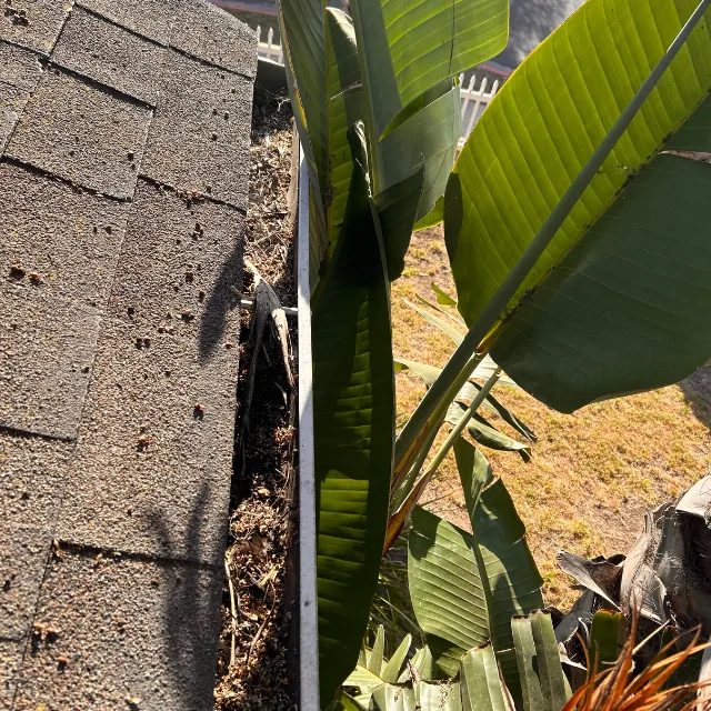 Rivera´s Janitorial Services LLC | Gutter Cleaning Before